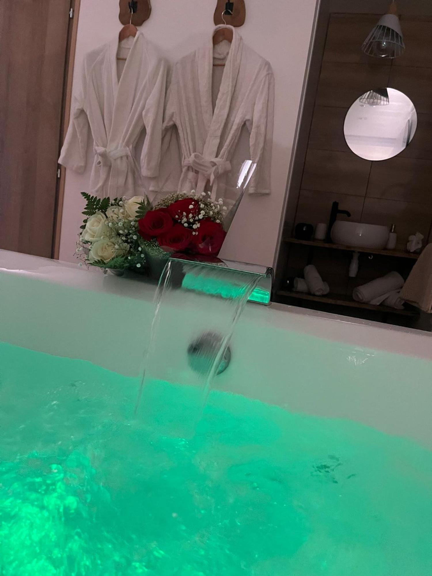 Studio Design Cocon Spa Prive A Deux Pas De Lille Bassee Экстерьер фото